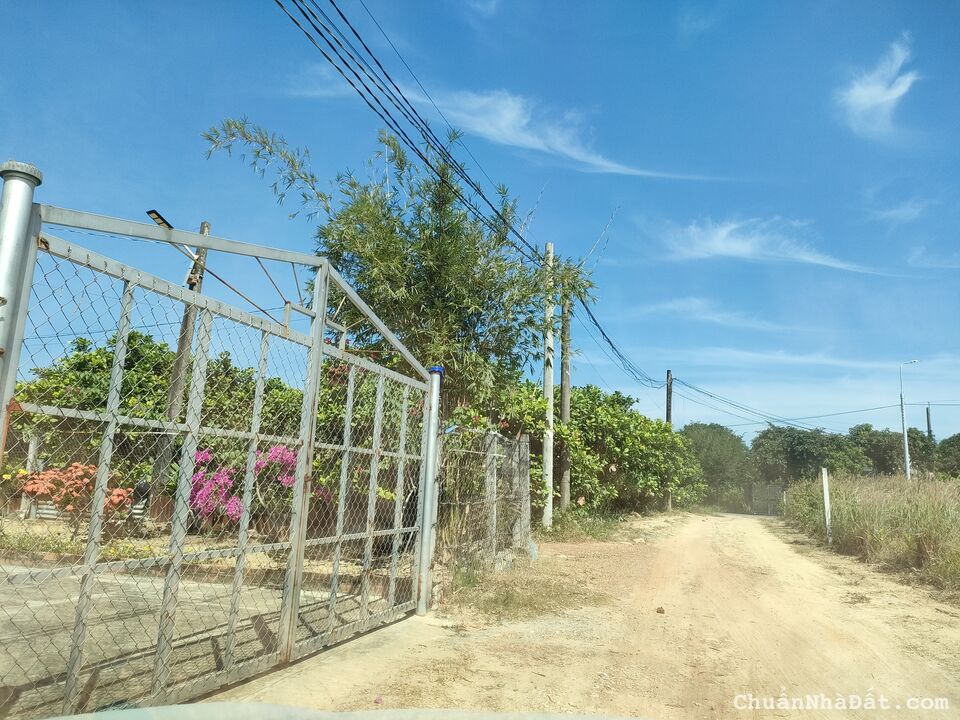 {GẤP} Bán lỗ 200tr lô đất ở ngay gần chợ, trường học La Ngà, đường ô tô tải {GẤP} Bán lỗ 200tr lô đất ở ngay gần chợ, trường học La Ngà, đường ô tô tải