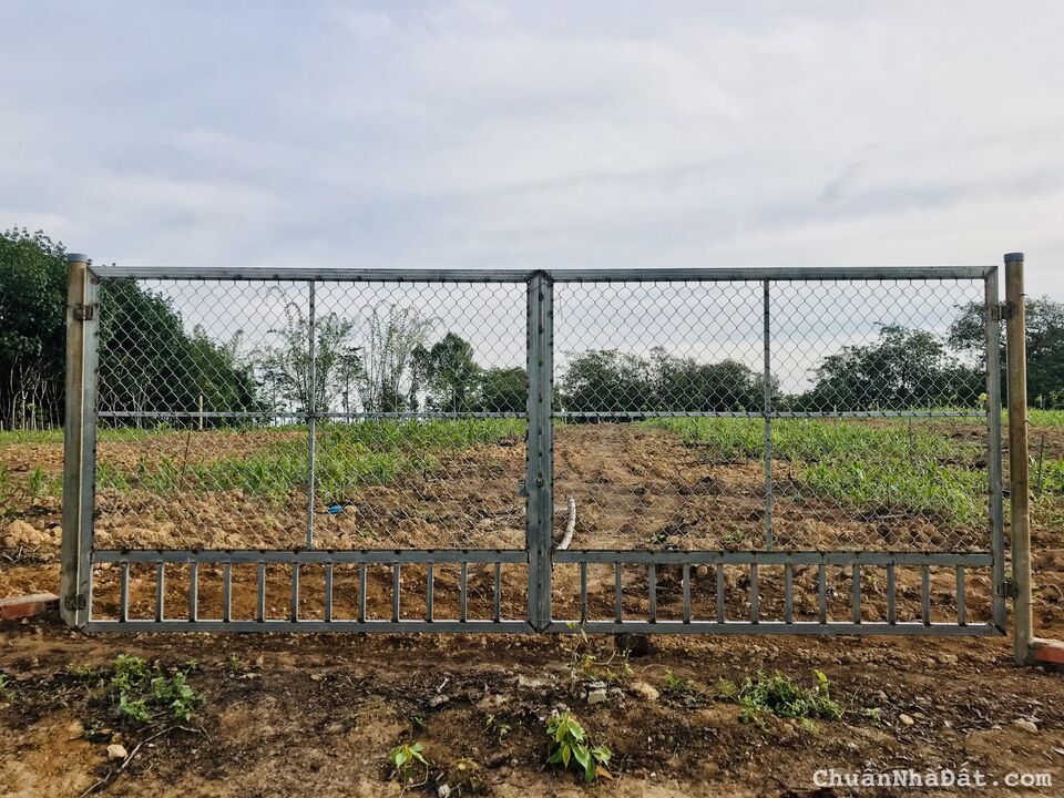 Bán đất 1006m2 mặt tiền 25m ngay KDC Ấp Suối Son, gần chợ Phú Túc, sổ hồng riêng đường ô tô đến đất