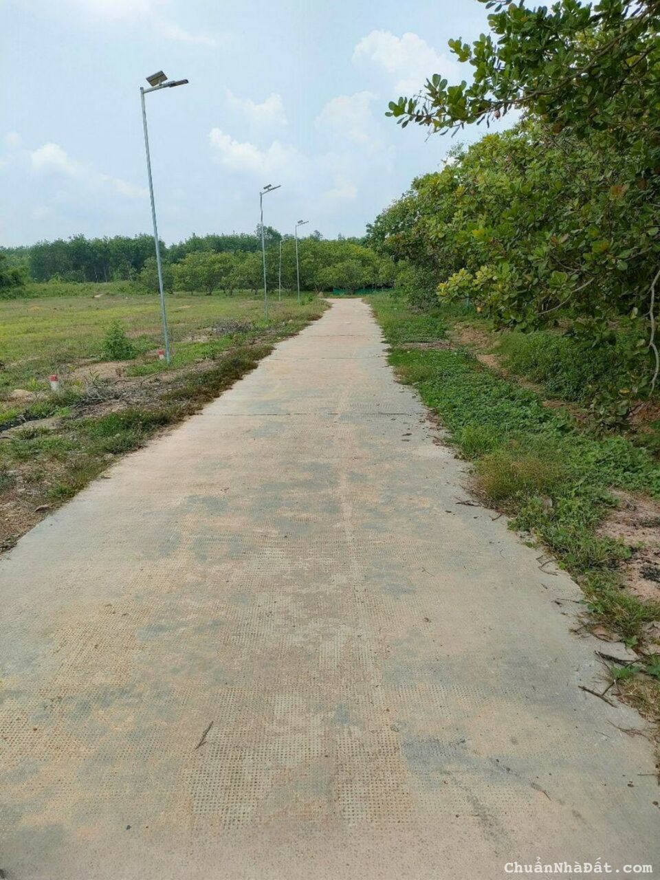 Chính chủ bán nhanh lô đất thổ cư gần Quốc lộ 14, KCN Đồng Phú, sổ hồng riêng, đường ô tô