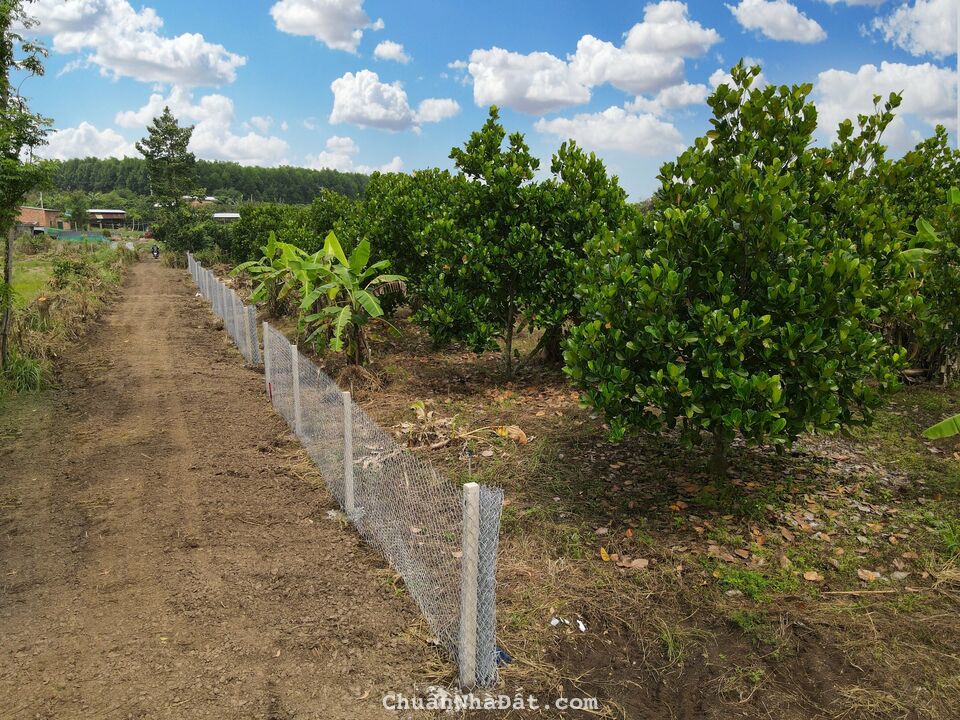 Kẹt tiền bán gấp đất ngay KCN Suối Nho 195ha, đường dẫn lên cao tốc đi Đà Lạt, sổ hồng riêng Kẹt tiền bán gấp đất ngay KCN Suối Nho 195ha, đường dẫn lên cao tốc đi Đà Lạt, sổ hồng riêng