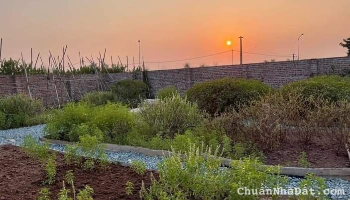 Bán đất vườn Song Phương Hoài Đức xây nhà xưởng, nghỉ dưỡng 387m, MT 14m giá 1.7 tỷ Bán đất vườn Song Phương Hoài Đức xây nhà xưởng, nghỉ dưỡng 387m, MT 14m giá 1.7 tỷ