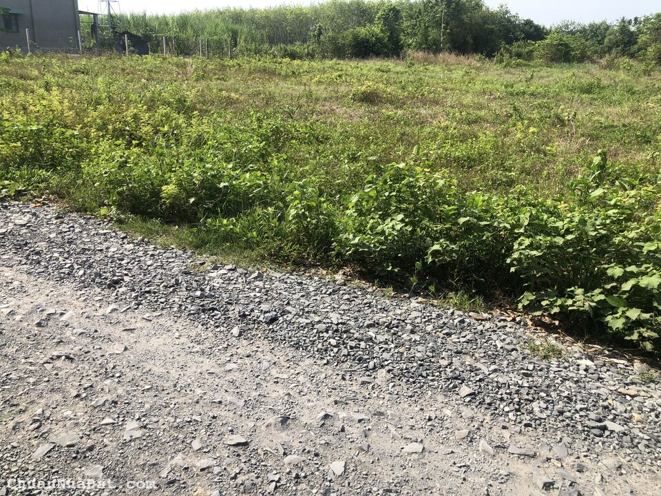 Bán Đất Gò Dầu Giá Rẻ Gần KCN Hiệp Thạnh, Gò Dầu, Tây Ninh. Hậu Dài Giá Rẻ