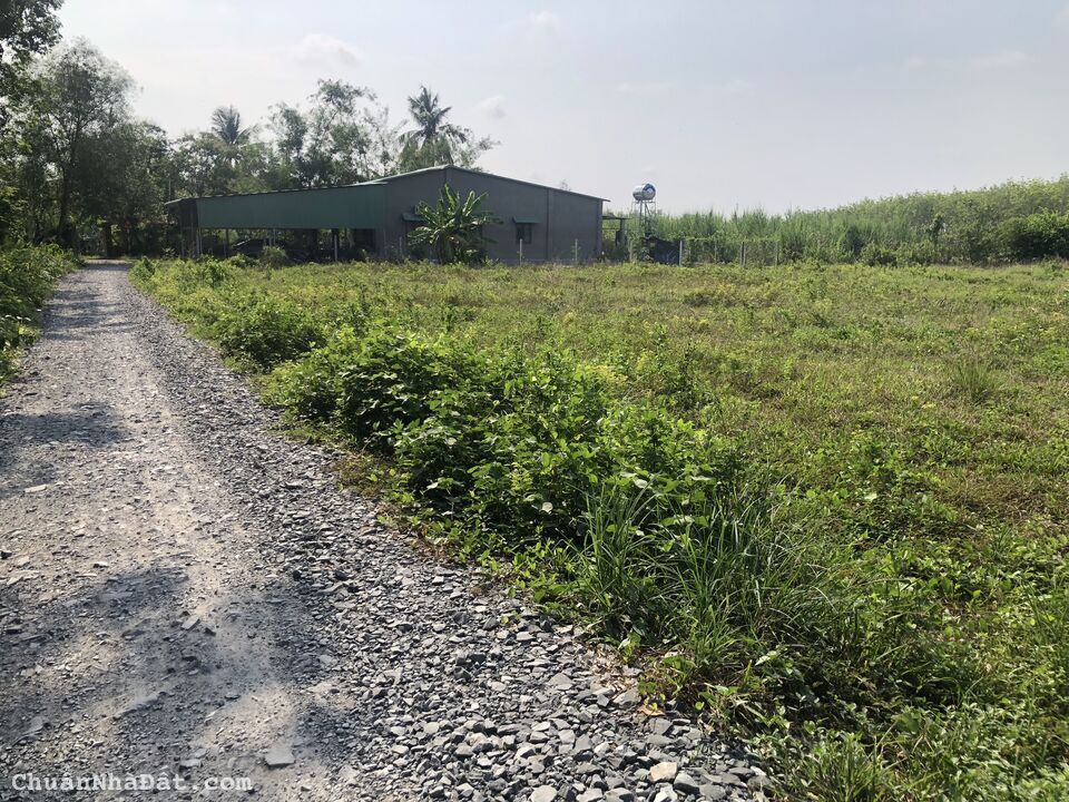 Bán Đất Gò Dầu Giá Rẻ Gần KCN Hiệp Thạnh, Gò Dầu, Tây Ninh. Hậu Dài Giá Rẻ
