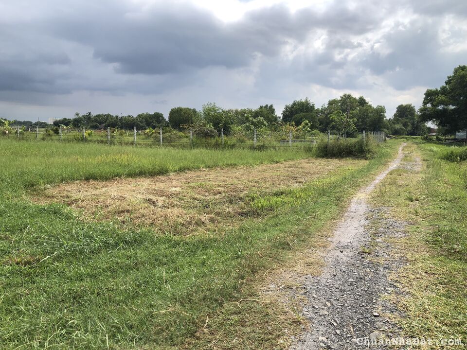 Đất Thổ Cư Gò Dầu, Full Thổ, Hậu Dài và Gần KCN Phước Đông