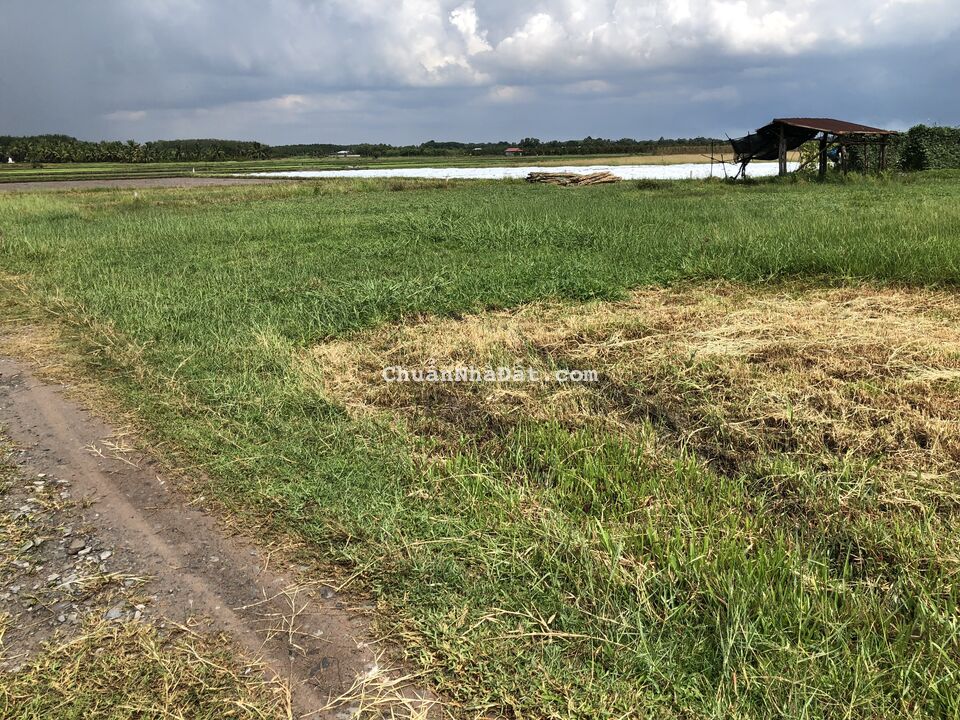 Đất Thổ Cư Gò Dầu, Full Thổ, Hậu Dài và Gần KCN Phước Đông