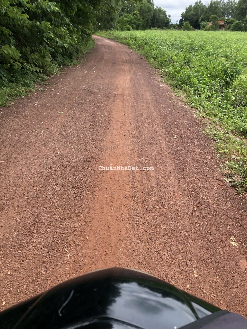 Đất Giá Rẻ Ấp 3, Bàu Đồn, Sát KCN Hiệp Thạnh, 5x25, Giá 500 Tr