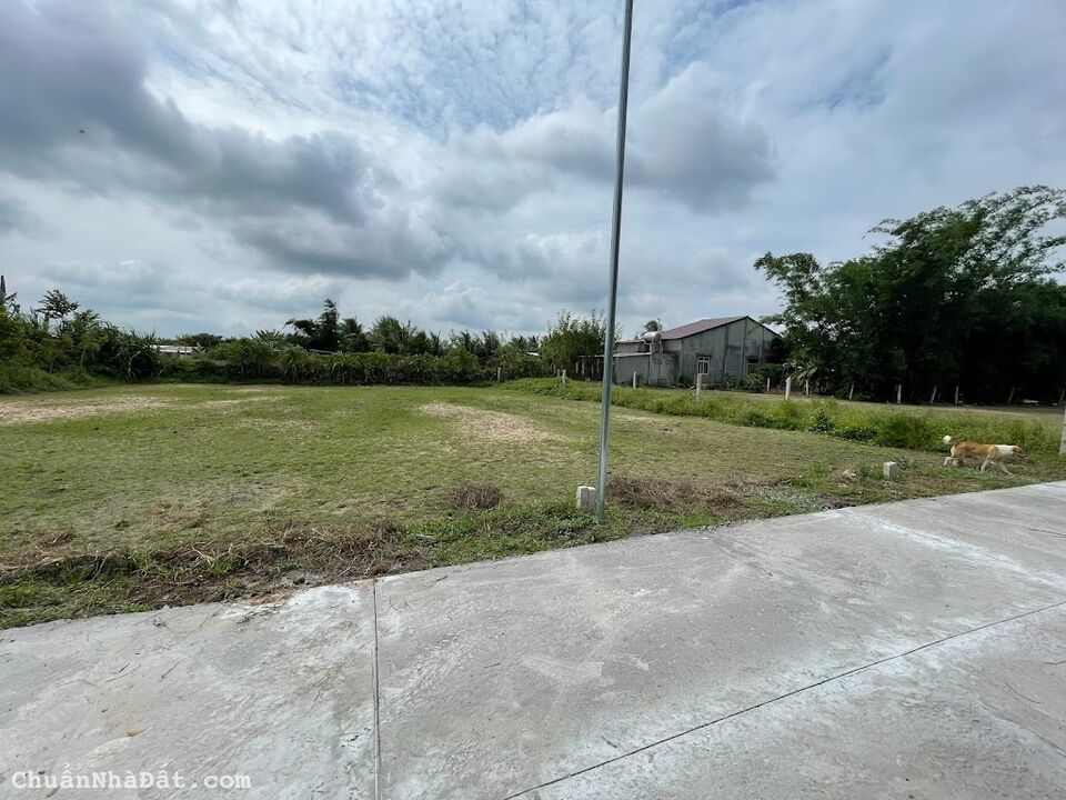 Đất Thổ Cư sát dt784 dân cư đông đúc Ấp 2 , Bàu Đồn, Gò Dầu