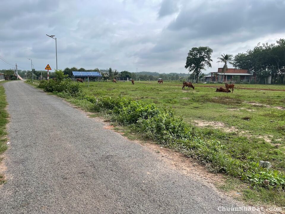 Đất Ngộp Giá Rẻ Ấp 4, Bàu Đồn, Gò Dầu, Tây Ninh