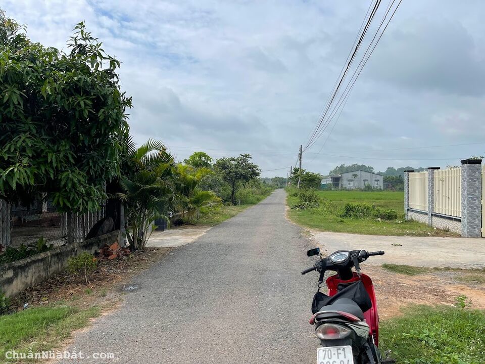 Đất Ngộp Giá Rẻ Ấp 4, Bàu Đồn, Gò Dầu, Tây Ninh