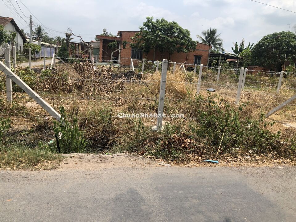 Bán Đất Trảng Bàng Giá Rẻ, Mặt Tiền Nhựa Đường Thông
