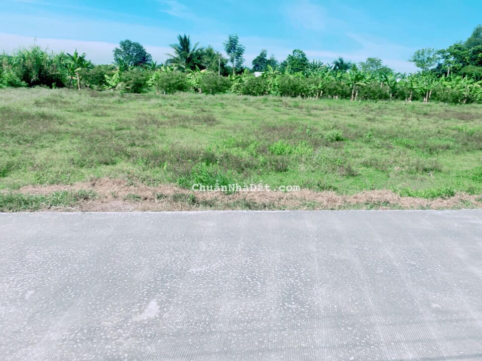 Bán Đất Thổ Cư Gần KCN Phước Đông, Giá Ngộp 5x33, Thổ Cư 100%