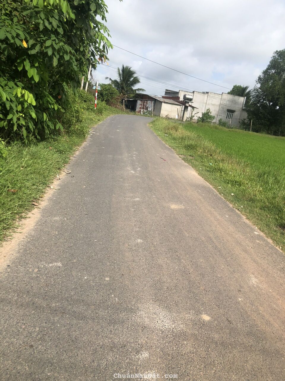 Đất Thổ Cư Đường Bàu Sen Gần KCN Phước Đông, Gò Dầu, Tây Ninh