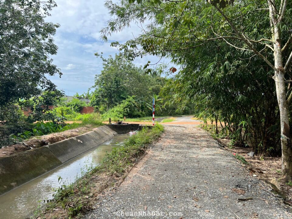 Bán Đất Thổ Cư Giá Rẻ Đường xe oto, Ấp Rộc, Thạnh Đức, Gò Dầu