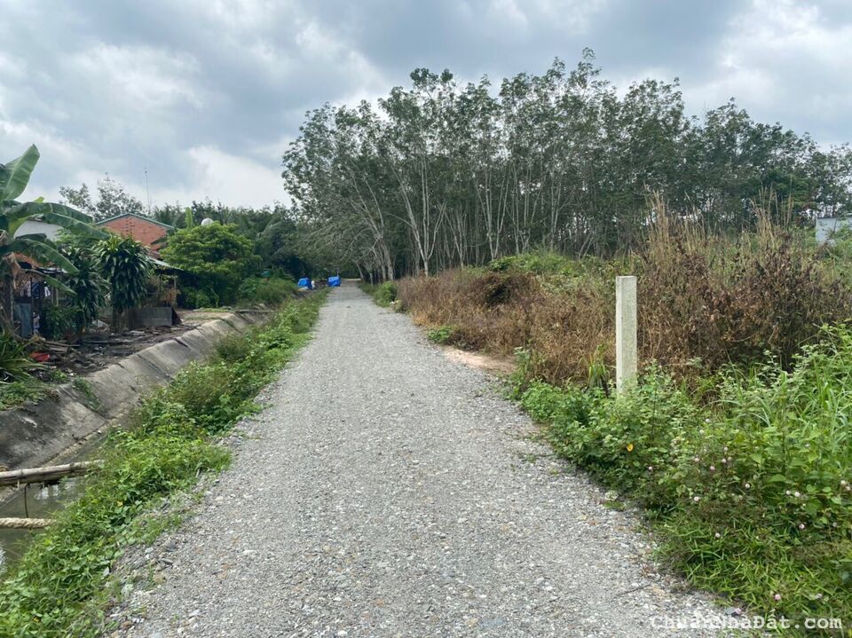 Bán Đất Thổ Cư Giá Rẻ Đường xe oto, Ấp Rộc, Thạnh Đức, Gò Dầu