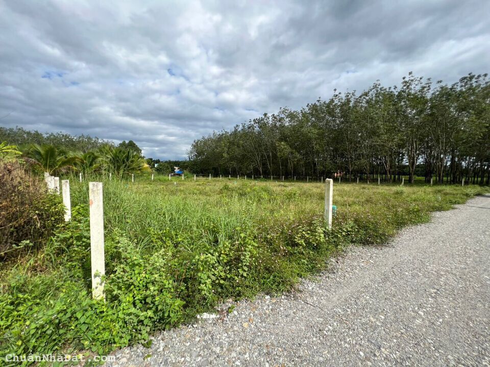 Bán Đất Thổ Cư Giá Rẻ Đường xe oto, Ấp Rộc, Thạnh Đức, Gò Dầu