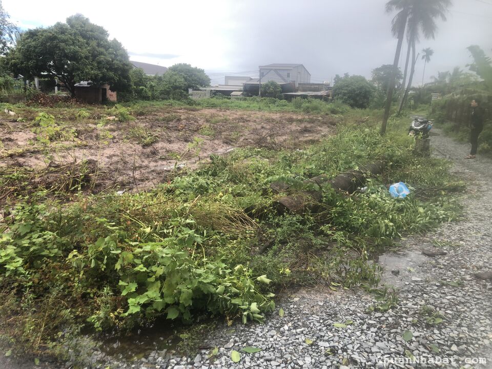 Bán Đất Thổ Cư Sát  DT784, Thị Trấn Truông Mít