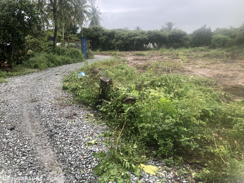 Bán Đất Thổ Cư Sát  DT784, Thị Trấn Truông Mít