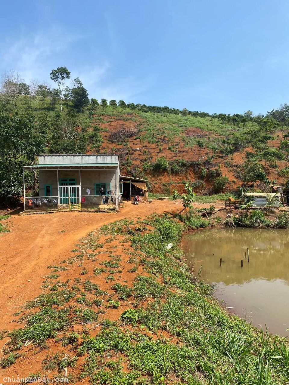 Chính chủ cần bán đi lô đất 1hec6, tại Quảng Sơn, Daknong, đã có một căng nhà cấp 4 trên đất