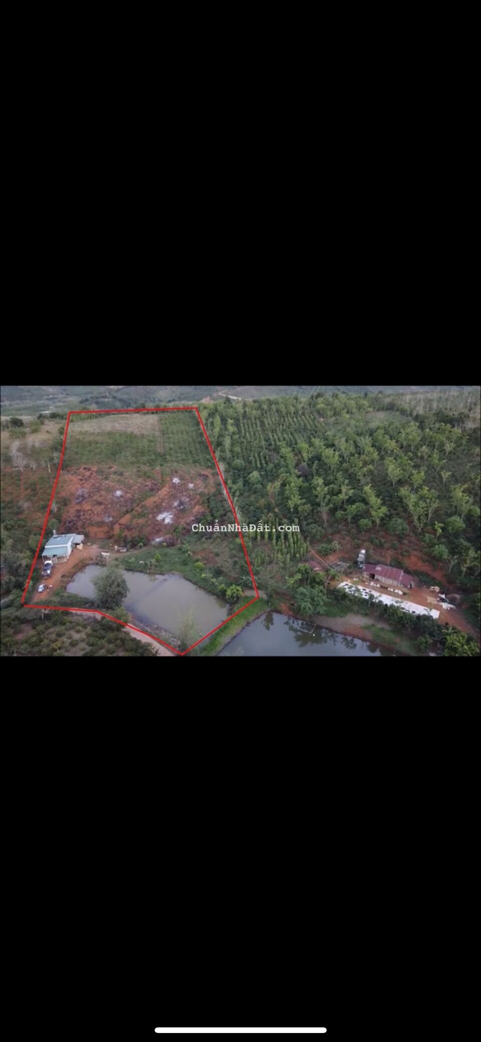 Chính chủ cần bán đi lô đất 1hec6, tại Quảng Sơn, Daknong, đã có một căng nhà cấp 4 trên đất