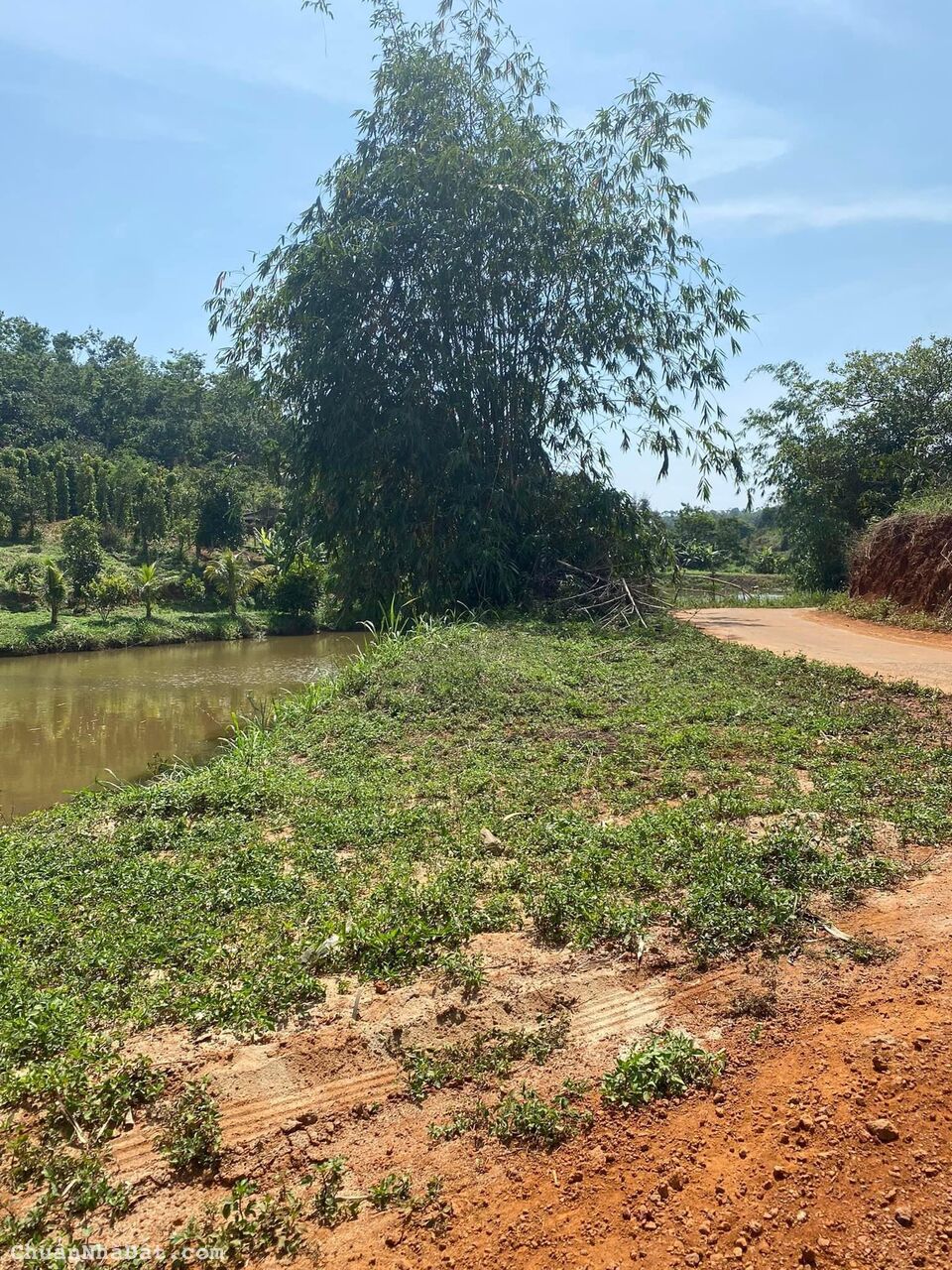 Chính chủ cần bán đi lô đất 1hec6, tại Quảng Sơn, Daknong, đã có một căng nhà cấp 4 trên đất