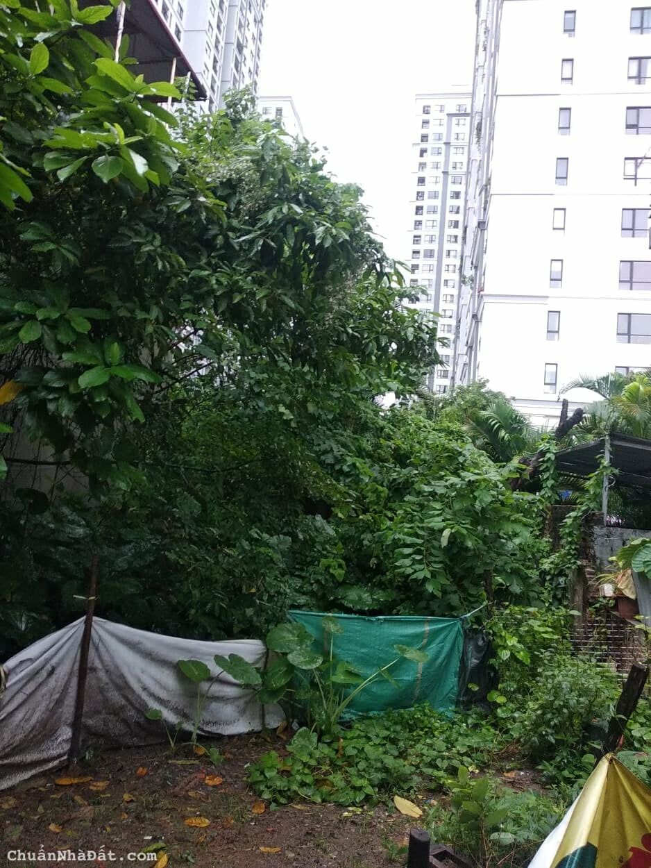 Bán mảnh đất vàng xây biệt thự cạnh Times City 67tr/m2 - Cơ hội hiếm có cho các nhà đầu tư