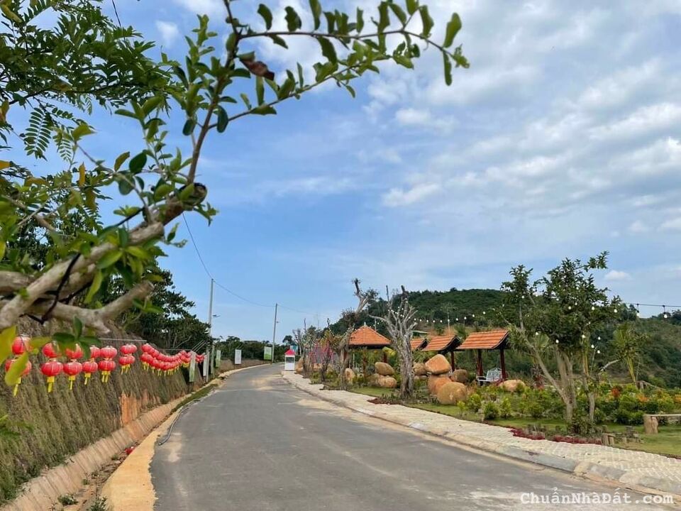 Đất nền Tân Lạc cách Quốc Lộ 20 10p đi xe, SỔ SẴN CÓ THỔ CƯ