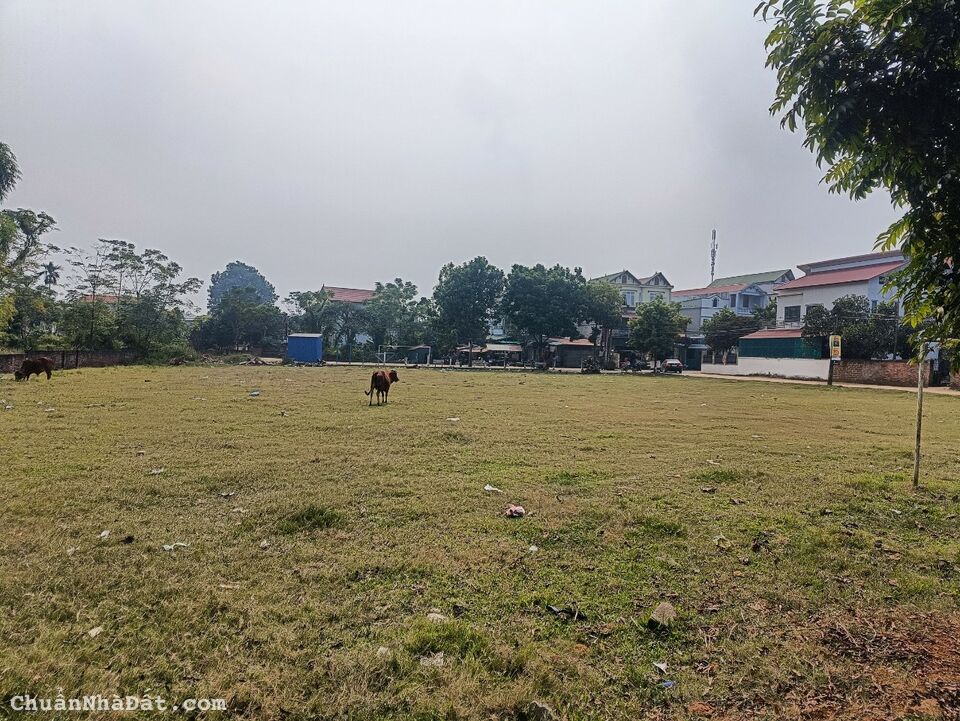 Bán 463m MT 12m gần khu CNC Hoà Lạc, gần đại học FPT, đại học khoa học và công nghệ