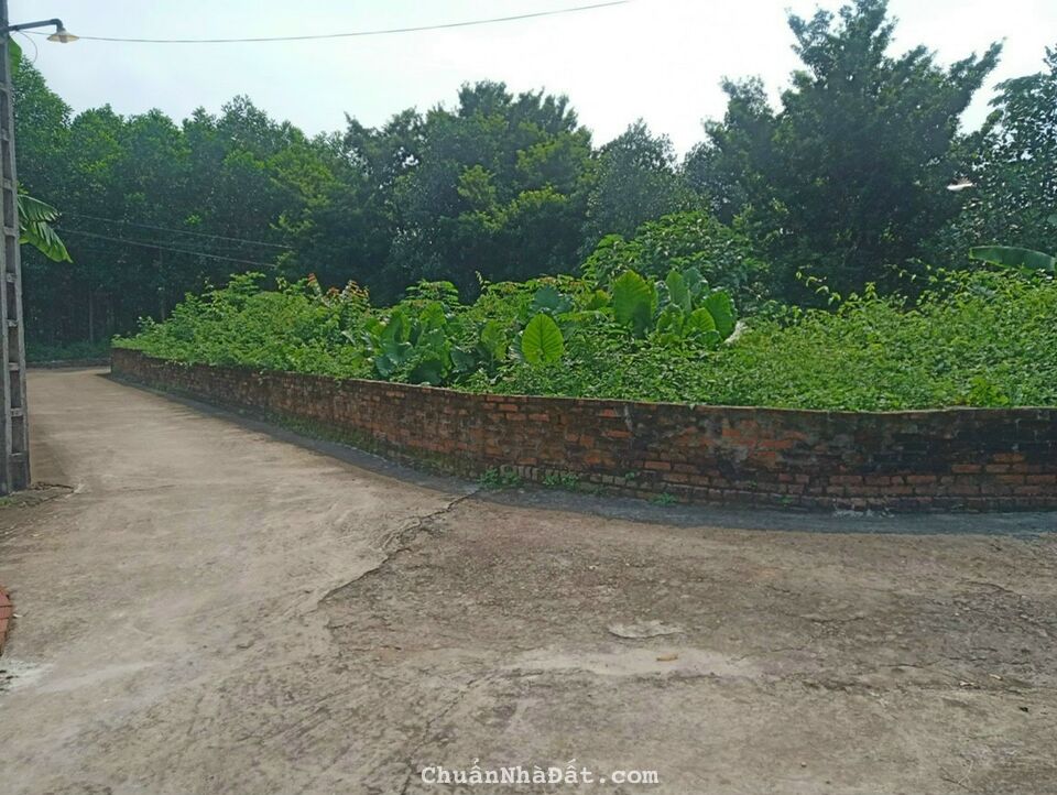 Bán Nhanh Lô Góc 3 Mặt Tiền 122m Cực Đẹp Tại Thái Bình -xã Bình Yên -Thạch Thất gần ĐH FPT Bán Nhanh Lô Góc 3 Mặt Tiền 122m Cực Đẹp Tại Thái Bình -xã Bình Yên -Thạch Thất gần ĐH FPT