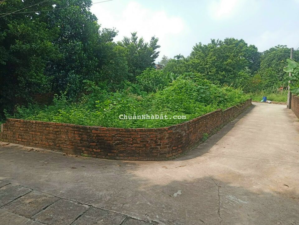 Bán Nhanh Lô Góc 3 Mặt Tiền 122m Cực Đẹp Tại Thái Bình -xã Bình Yên -Thạch Thất gần ĐH FPT Bán Nhanh Lô Góc 3 Mặt Tiền 122m Cực Đẹp Tại Thái Bình -xã Bình Yên -Thạch Thất gần ĐH FPT