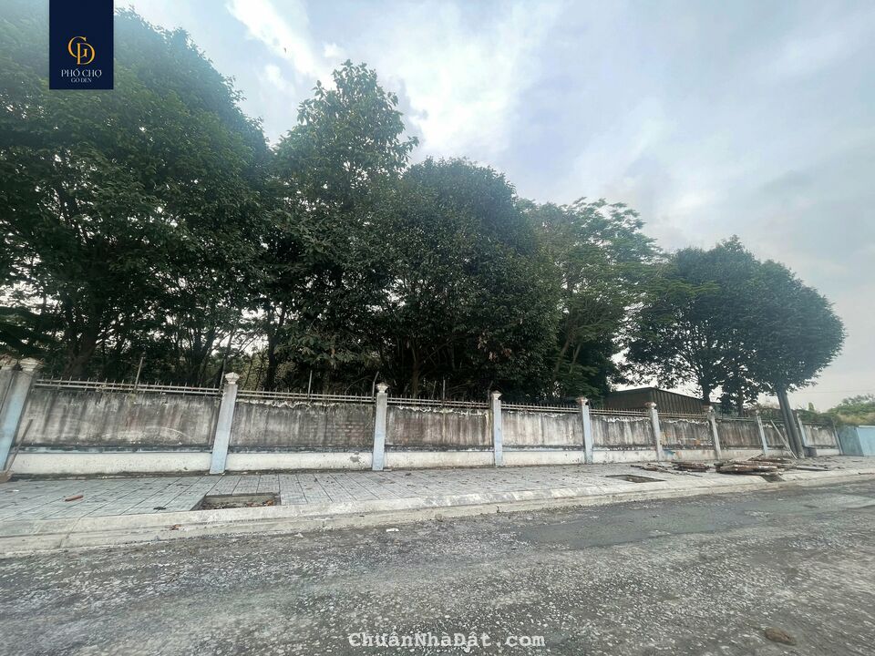 Mua bán đất nền đối diện chợ gò đen, giáp ranh bình chánh, 100m2