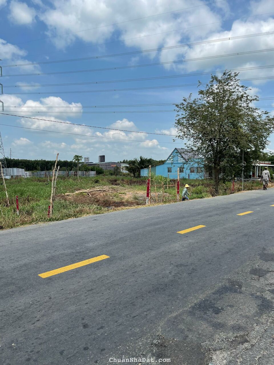 Bán Đất 1696M2 Có 139M2 Thổ,19Mx84M,Mặt Tiền ĐT829 Tân Thạnh Long An Cách Cầu 2 hạt 500m