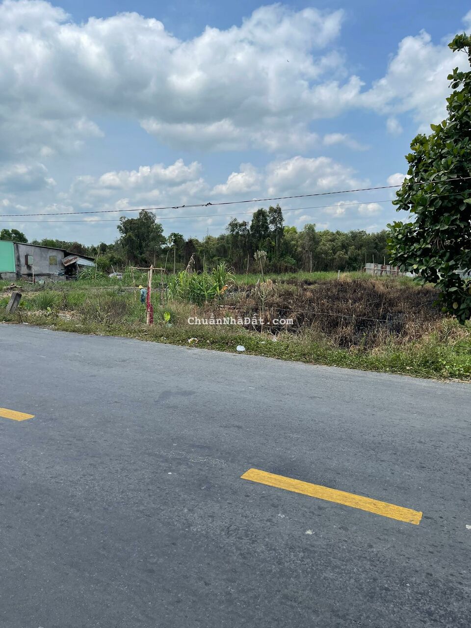 Bán Đất 1696M2 Có 139M2 Thổ,19Mx84M,Mặt Tiền ĐT829 Tân Thạnh Long An Cách Cầu 2 hạt 500m