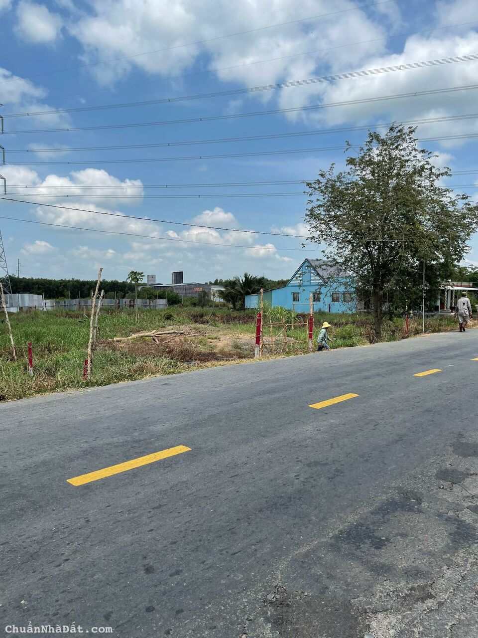 Bán Đất 1696M2 Có 139M2 Thổ,ngang 19Mx84M,Mặt Tiền ĐT829 Tân Thạnh Long An Cách Cầu 2 hạt 500m