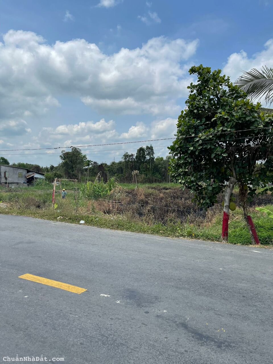 Bán Đất 1696M2 Có 139M2 Thổ,19Mx84M,Mặt Tiền ĐT829 Tân Thạnh Long An Cách Cầu 2 hạt 500m