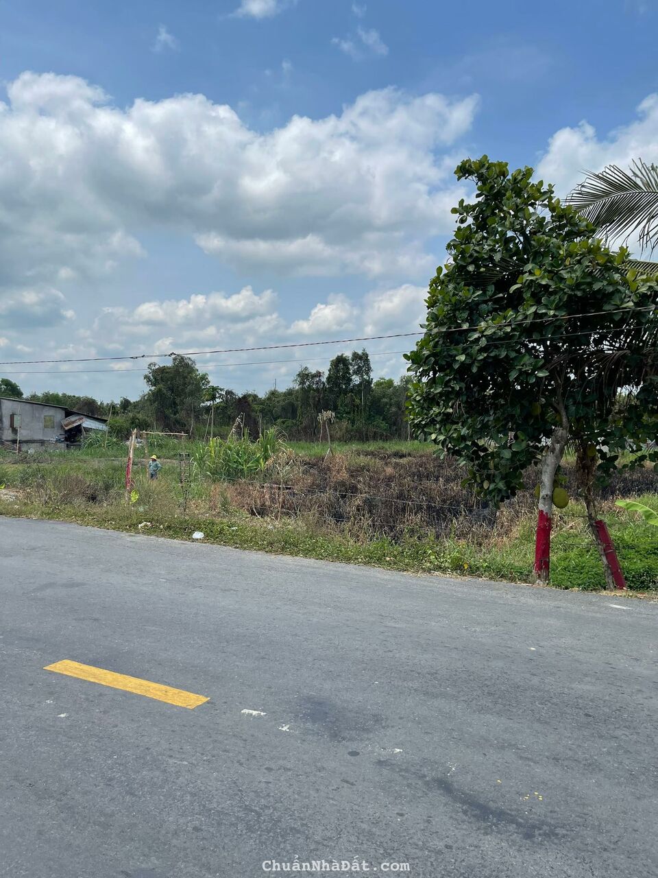 Bán Đất 1696M2 Có 139M2 Thổ Cư,Ngang 19Mx84M,Mặt Tiền Đường Tỉnh 829 Huyện Tân Thạnh Long An Bán Đất 1696M2 Có 139M2 Thổ Cư,Ngang 19Mx84M,Mặt Tiền Đường Tỉnh 829 Huyện Tân Thạnh Long An