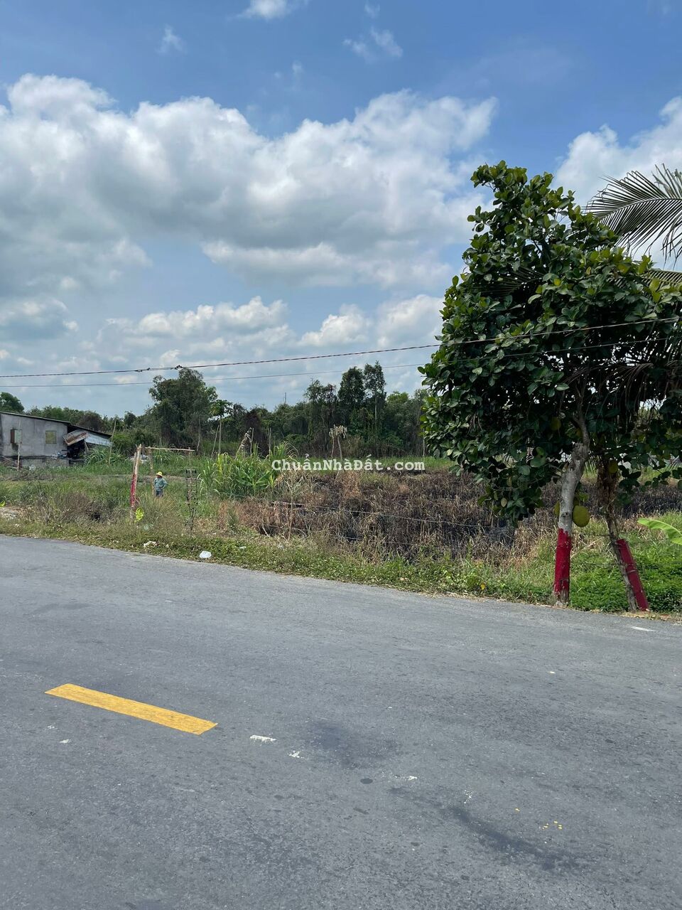 Bán Đất 1696M2 Có 139M2 Thổ,19Mx84M,Mặt Tiền ĐT829 Tân Thạnh Long An Cách tiểu học tân hòa 200m Bán Đất 1696M2 Có 139M2 Thổ,19Mx84M,Mặt Tiền ĐT829 Tân Thạnh Long An Cách tiểu học tân hòa 200m