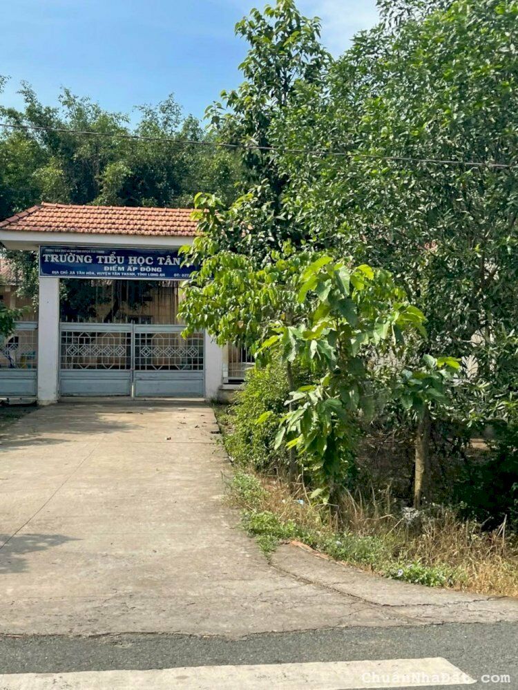 Bán Đất 1696M2 Có 139M2 Thổ,19Mx84M,Mặt Tiền ĐT829 Tân Thạnh Long An Cách tiểu học tân hòa 200m Bán Đất 1696M2 Có 139M2 Thổ,19Mx84M,Mặt Tiền ĐT829 Tân Thạnh Long An Cách tiểu học tân hòa 200m