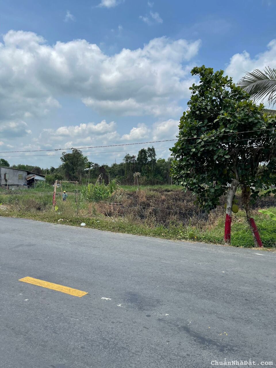 Bán Đất 1696M2 Có 139M2 Thổ,19Mx84M,Mặt Tiền ĐT829 Tân Thạnh Long An giữa cầu 2 hạt và cầu tân hòa