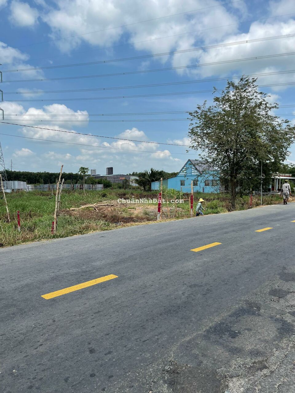 Bán Đất 1696M2 Có 139M2 Thổ,19Mx84M,Mặt Tiền ĐT829 Tân Thạnh Long An Cách Cầu 2 hạt 600m Bán Đất 1696M2 Có 139M2 Thổ,19Mx84M,Mặt Tiền ĐT829 Tân Thạnh Long An Cách Cầu 2 hạt 600m