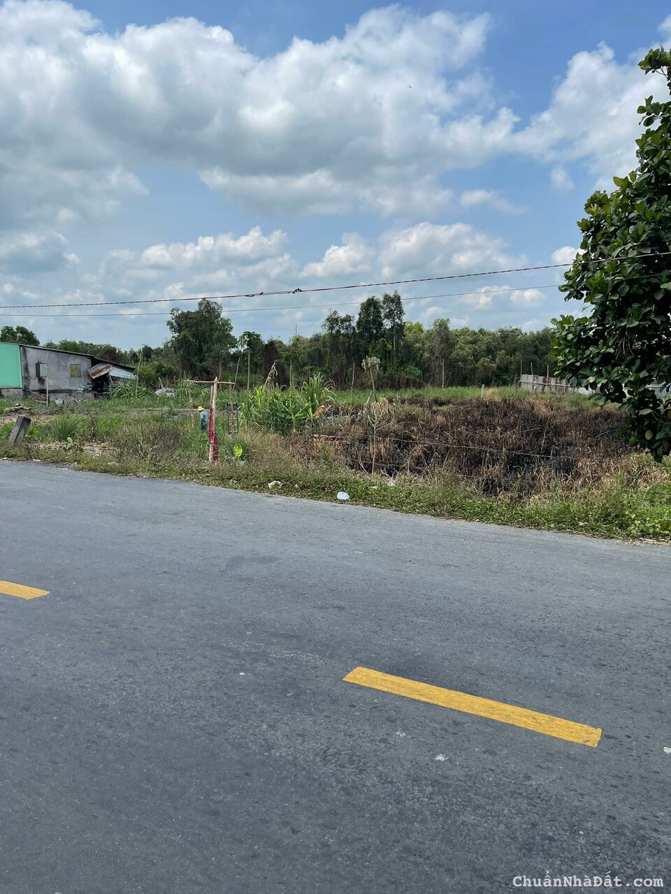 Bán Đất 1696M2 Có 139M2 Thổ,19Mx84M,Mặt Tiền ĐT829 Tân Thạnh Long An Cách Cầu 2 hạt 600m Bán Đất 1696M2 Có 139M2 Thổ,19Mx84M,Mặt Tiền ĐT829 Tân Thạnh Long An Cách Cầu 2 hạt 600m