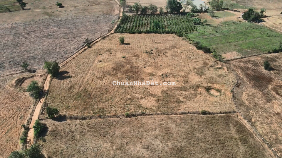 Bán đất vườn gần UBND Hồng Liêm, chỉ 275 triệu/sổ Bán đất vườn gần UBND Hồng Liêm, chỉ 275 triệu/sổ