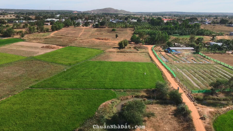 Bán đất vườn gần UBND Hồng Liêm, chỉ 275 triệu/sổ Bán đất vườn gần UBND Hồng Liêm, chỉ 275 triệu/sổ