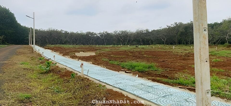 Đất Thổ Cư Bình Phước chỉ 580tr/nền (5.06 x 50.52). Sổ sẵn công chứng ngay Đất Thổ Cư Bình Phước chỉ 580tr/nền (5.06 x 50.52). Sổ sẵn công chứng ngay