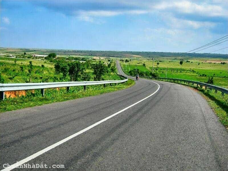 4743m2 đất CLN Hòa Thắng, ngay trục đường chính đi sân bay. Giá chính chủ 449 triệu bao sổ