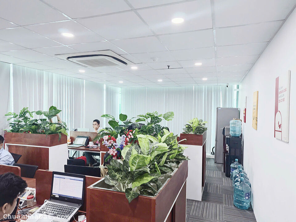 Cho thuê văn phòng 60m2 view kính đường Nguyễn Trung Trực, Q. Bình Thạnh