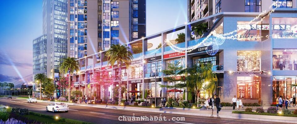 Khối đế tầng trệt kinh doanh, cho thuê cực tốt ngay khu thương mại Âu Cơ sầm uất !