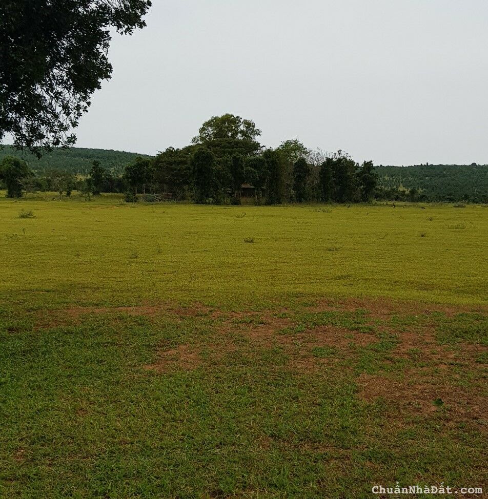 Bán đất nền bắc bình giá rẻ 2530m2 chỉ 185tr công chứng ngay Lh 0938677909 xem sổ