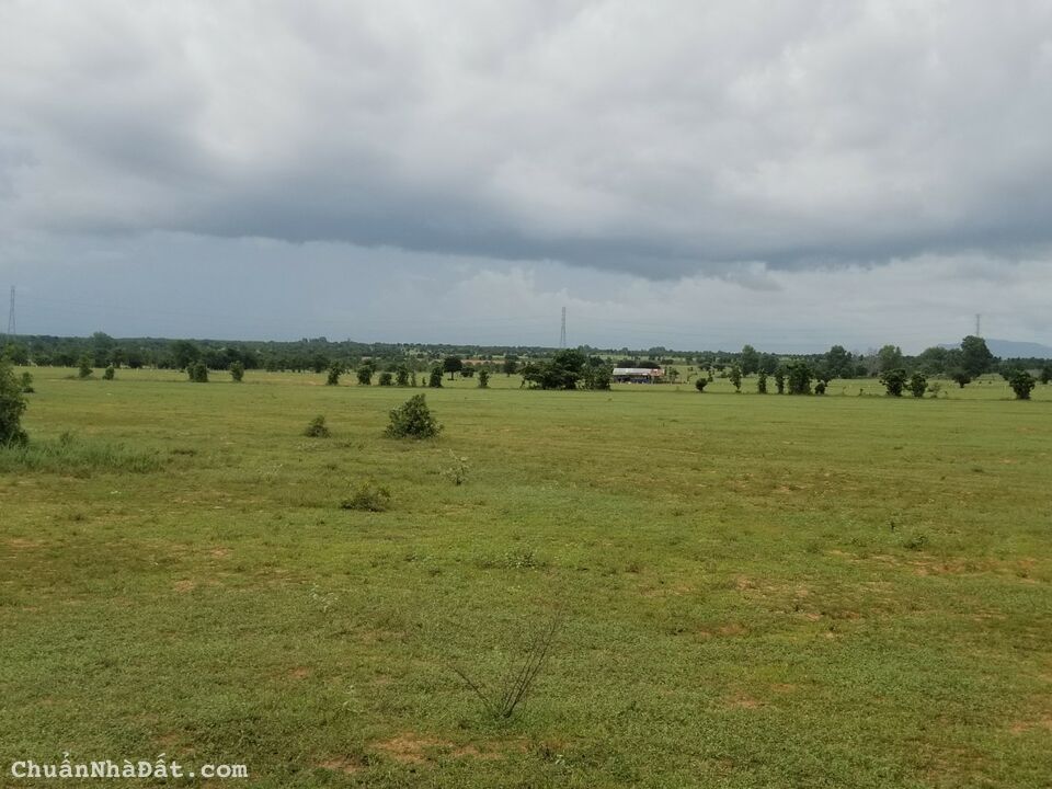 Bán 4357m2 đất vườn hoà thắng sổ vuông có đường, mặt tiền 70m giá 479tr Lh 0938677909 xem sổ Bán 4357m2 đất vườn hoà thắng sổ vuông có đường, mặt tiền 70m giá 479tr Lh 0938677909 xem sổ