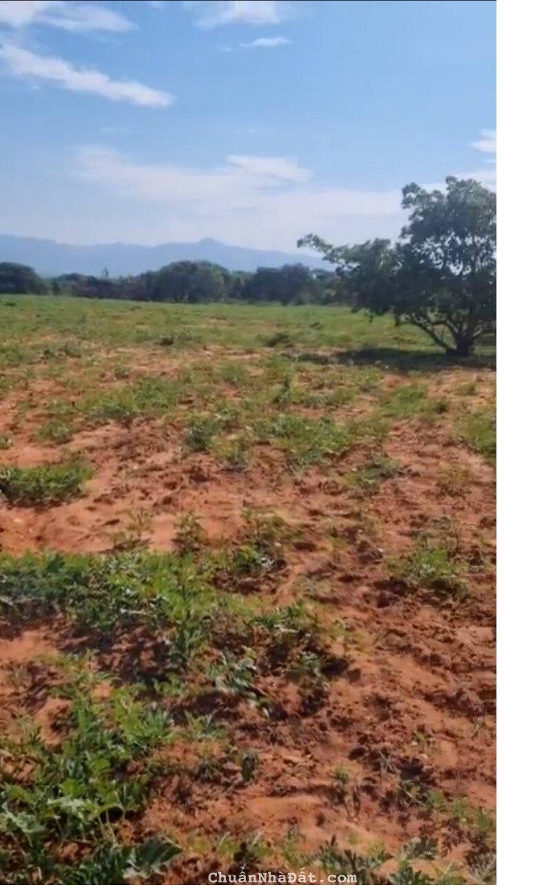 Bán đất CLN phan rí thành ven biển hoà thắng cạnh hồ nước Rạng Đông 1,922m2/ 394tr Lh 0938677909