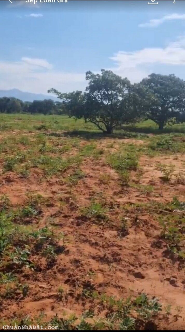 Bán đất CLN phan rí thành ven biển hoà thắng cạnh hồ nước Rạng Đông 1,922m2/ 394tr Lh 0938677909